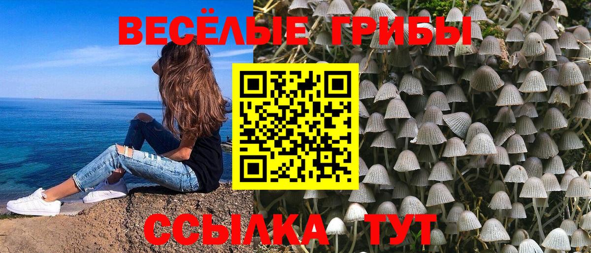 Абинск  Галлюциногенные грибы мухоморы  Галлюциногенные грибы Magic Shrooms  Вход с VPN 