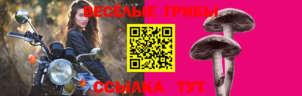 Галлюциногенные грибы MAGIC MUSHROOMS Абинск